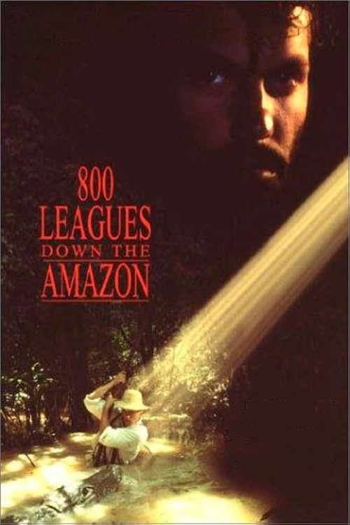 Póster de Eight Hundred Leagues Down the Amazon