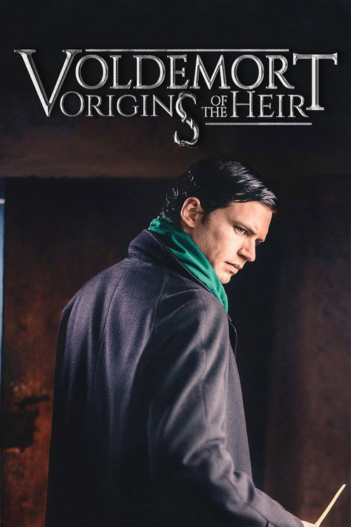 Póster de Voldemort: Origins of the Heir