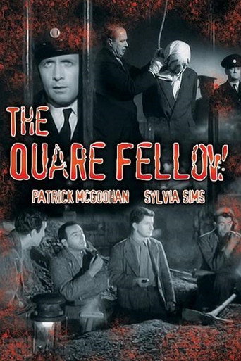 Póster de The Quare Fellow