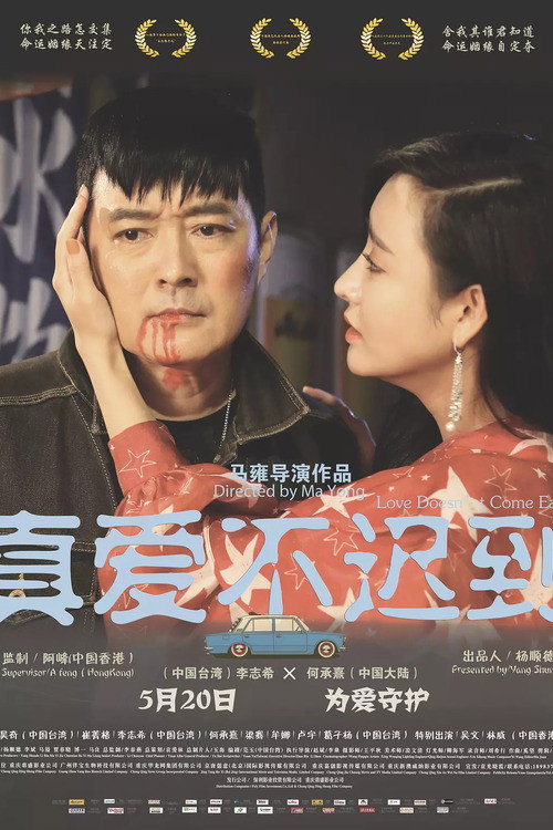 Póster de 真爱不迟到