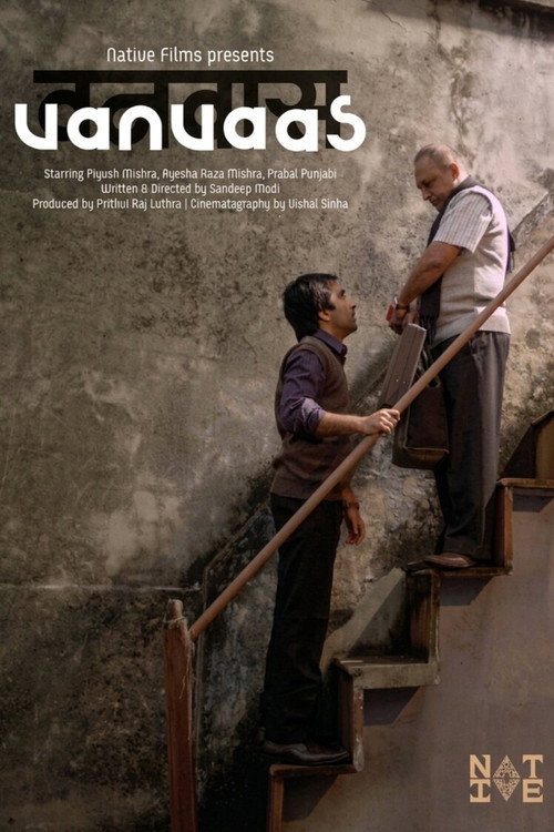 Póster de Vanvaas