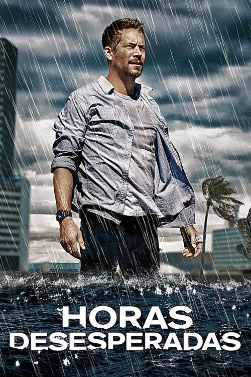 Póster de Horas desesperadas