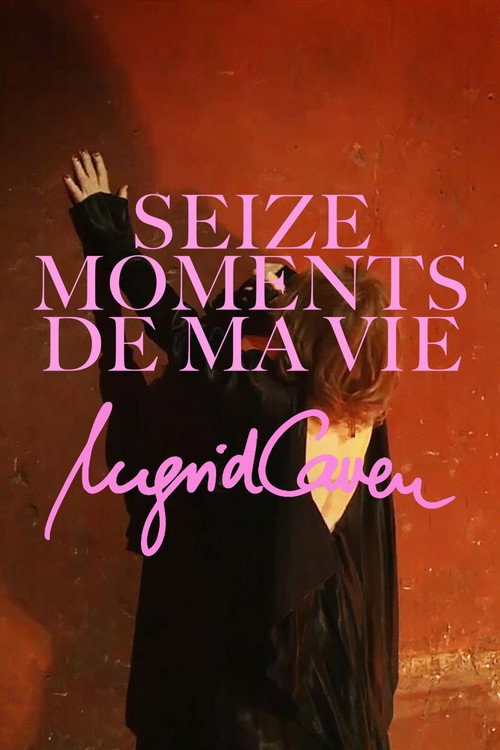 Póster de Seize moments de ma vie