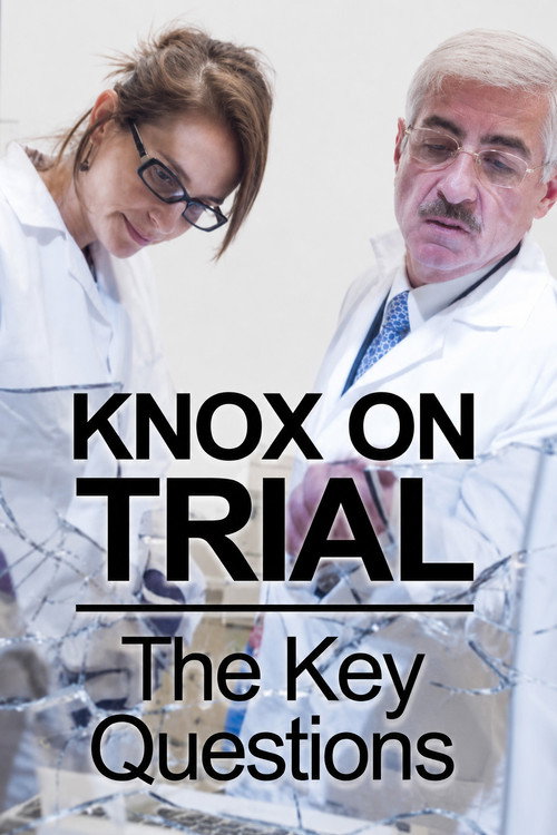Póster de Amanda Knox Trial: 5 Key Questions