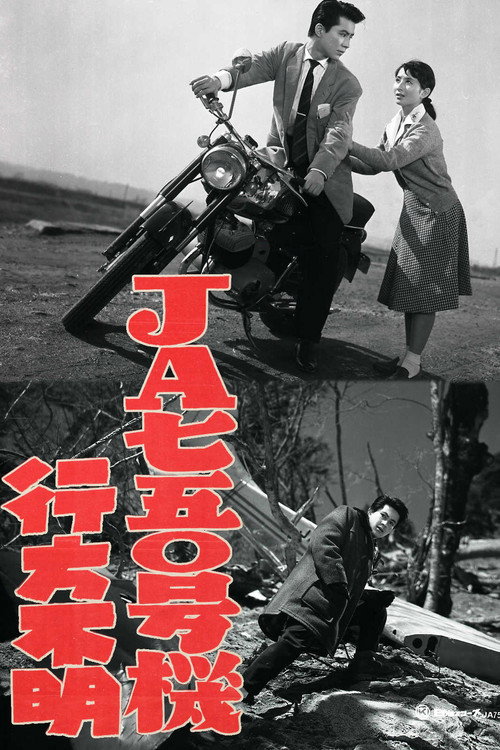 Póster de JA750号機行方不明