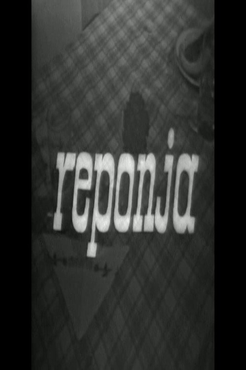 Póster de Reponja