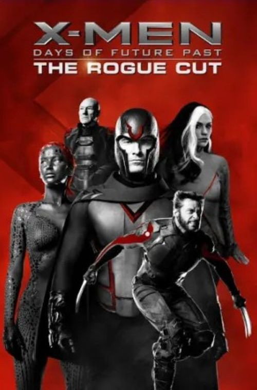 Póster de X-Men: Days of Future Past - The Rogue Cut