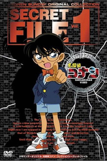Póster de Detective Conan Magic File