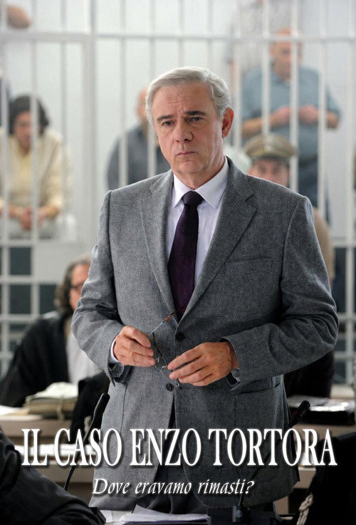 Póster de Il caso Enzo Tortora: Dove eravamo rimasti?