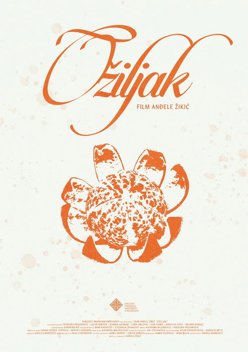 Póster de Ožiljak