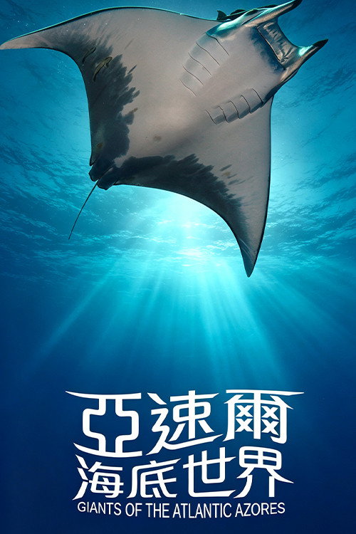 Póster de 亚速尔海底世界