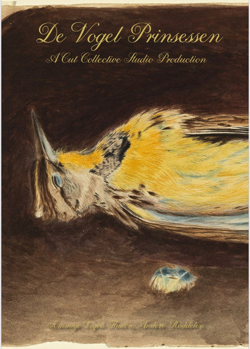 Póster de De vogel prinsessen