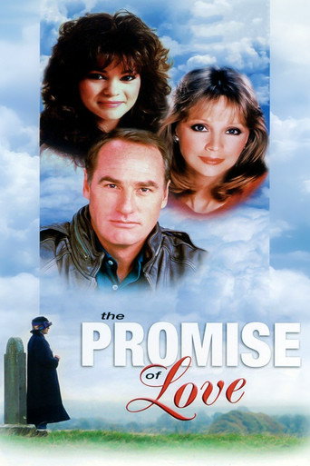 Póster de The Promise of Love