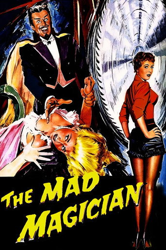 Póster de The Mad Magician