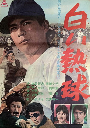 Póster de White Ball