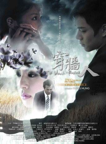 Póster de 穿牆人