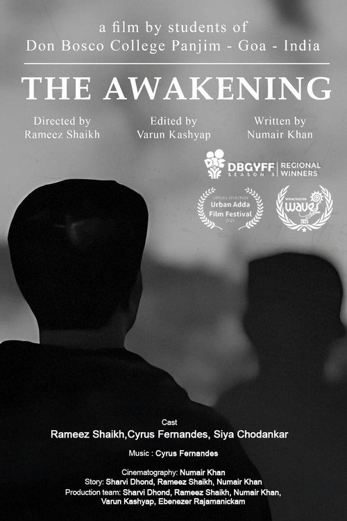 Póster de The Awakening
