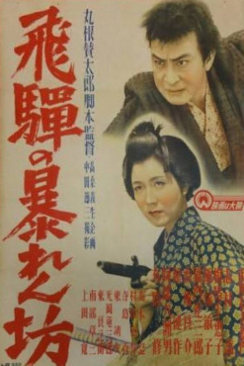 Póster de Hida no abarenbō