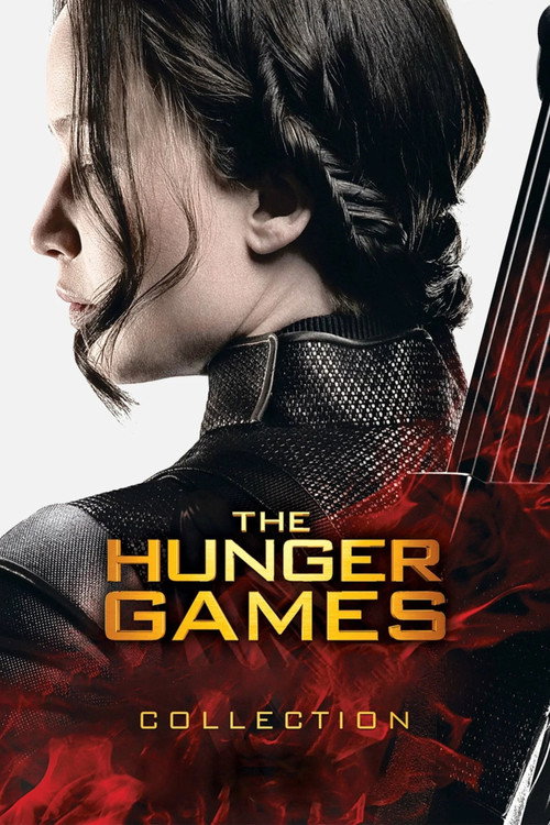 Póster de The Hunger Games Series