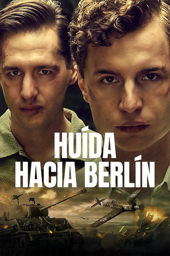 Póster de Bratři