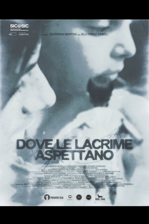 Póster de Dove le lacrime aspettano