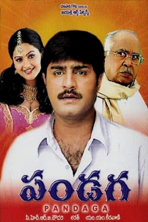 Póster de పండగ