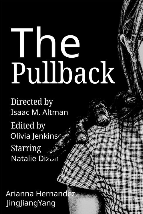 Póster de The Pullback