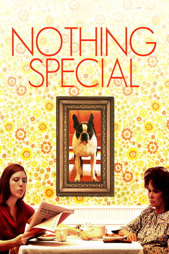 Póster de Nothing Special