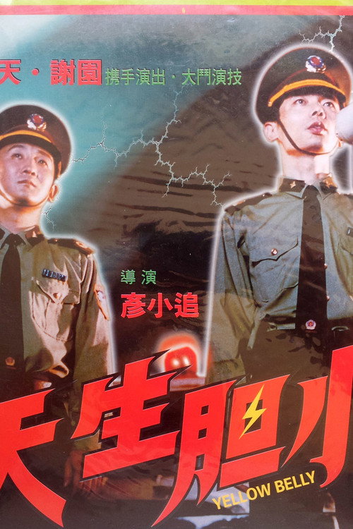 Póster de 天生胆小