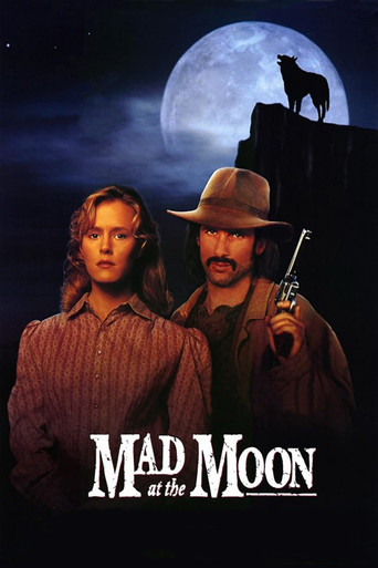 Póster de Mad at the Moon