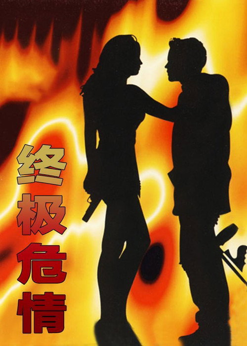 Póster de Final Target
