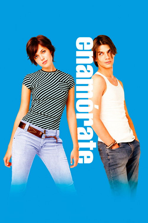 Póster de How to Deal