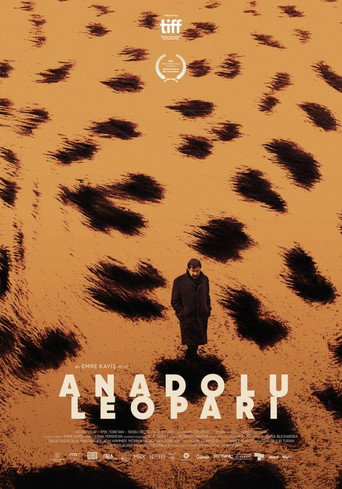 Póster de Anadolu Leoparı