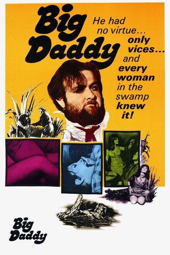 Póster de Big Daddy