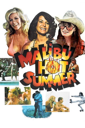 Póster de Malibu Hot Summer
