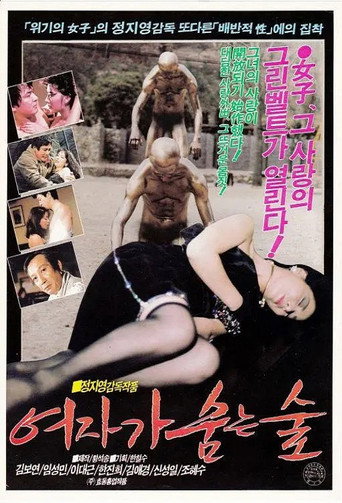 Póster de 여자가 숨는 숲