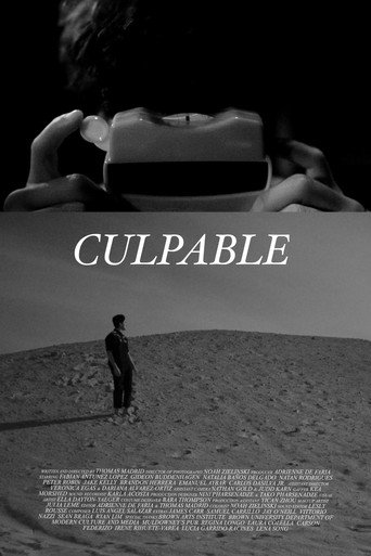 Póster de Culpable