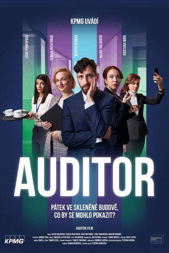 Póster de Auditor