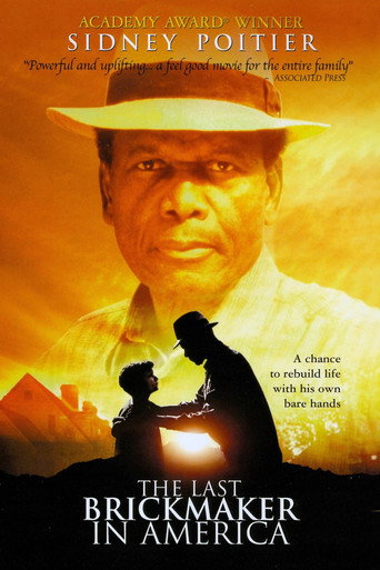 Póster de The Last Brickmaker in America