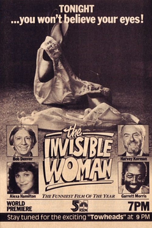 Póster de The Invisible Woman