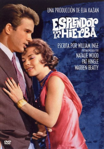 Póster de Esplendor en la hierba