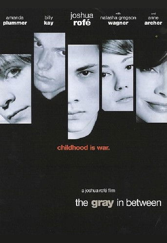 Póster de The Gray in Between