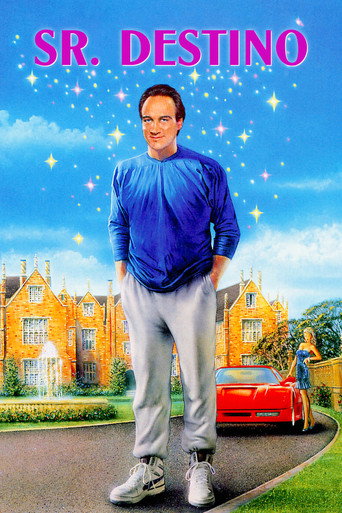 Póster de Encantado Sr. Destino