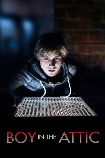 Póster de Secrets in the Attic