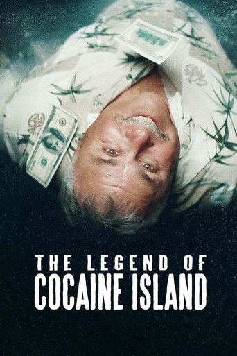 Póster de La leyenda de la isla con coca