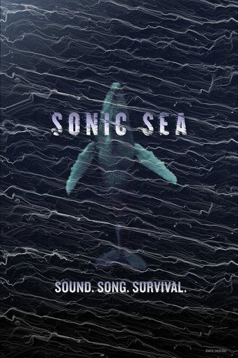Póster de Sonic Sea
