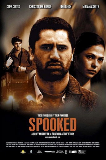 Póster de Spooked