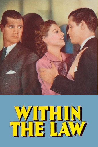 Póster de Within the Law