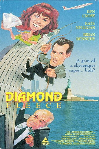 Póster de The Diamond Fleece