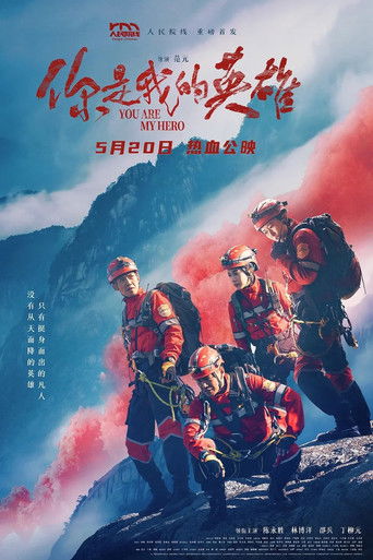 Póster de 你是我的英雄